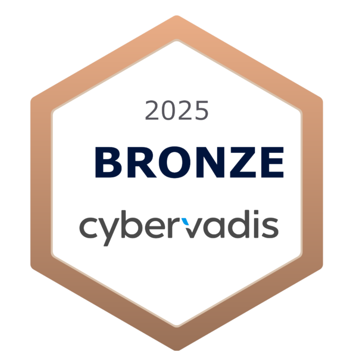 Cybervadis bronze